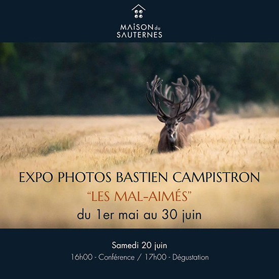 Bastien Campistron